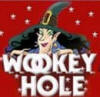 Wookey Hole Caves - sponsor -  King Bladuds pigs in Bath